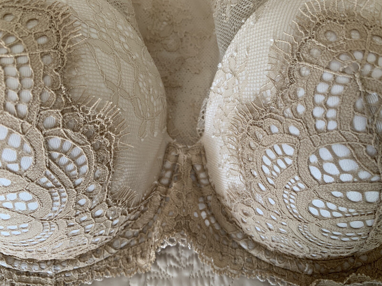 VICTORIA’S SECRET New Dream Angel Champagne Lace Bra6