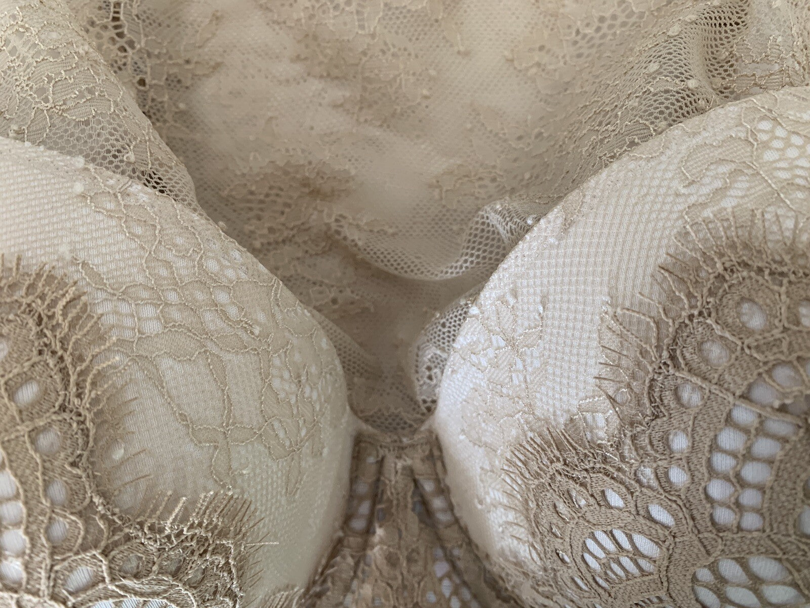 VICTORIA’S SECRET New Dream Angel Champagne Lace Bra11